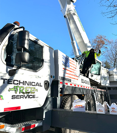 Worker near a tree service crane truck during a job